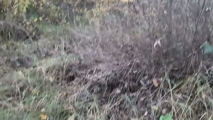Accidentally Filmed Real Lesbian Sex In The Forest
